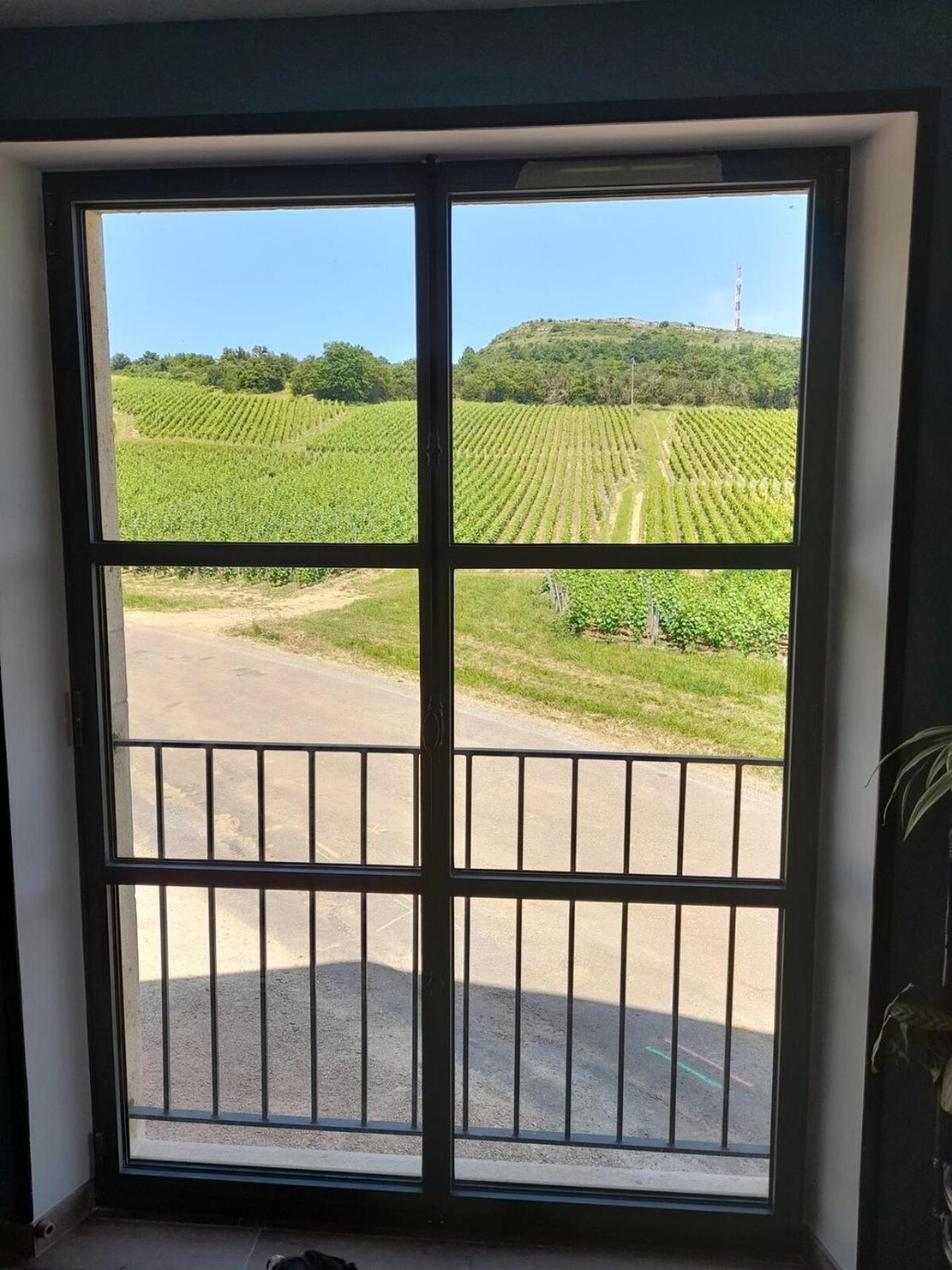 Villa At The End Of The World -Bussires Burgundy Bussieres  Exterior foto